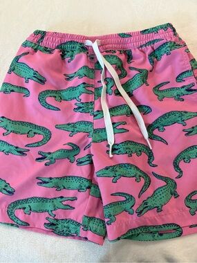 Chubbies Boys The Triangu-Laters Lined Stretch Classic Swim Trunks Youth Sz Med